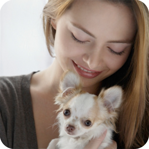 Eliminating Pet Odors