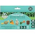 Oxbow Enriched Life Birthday Party Pack, Rabbit Toys, Guinea Pig Toys, Enrichment for Bunny, Hamster, Rabbit, Chinchilla, Rat, Chinchilla Cage Accessories, Guinea Pig Accessories for Cage