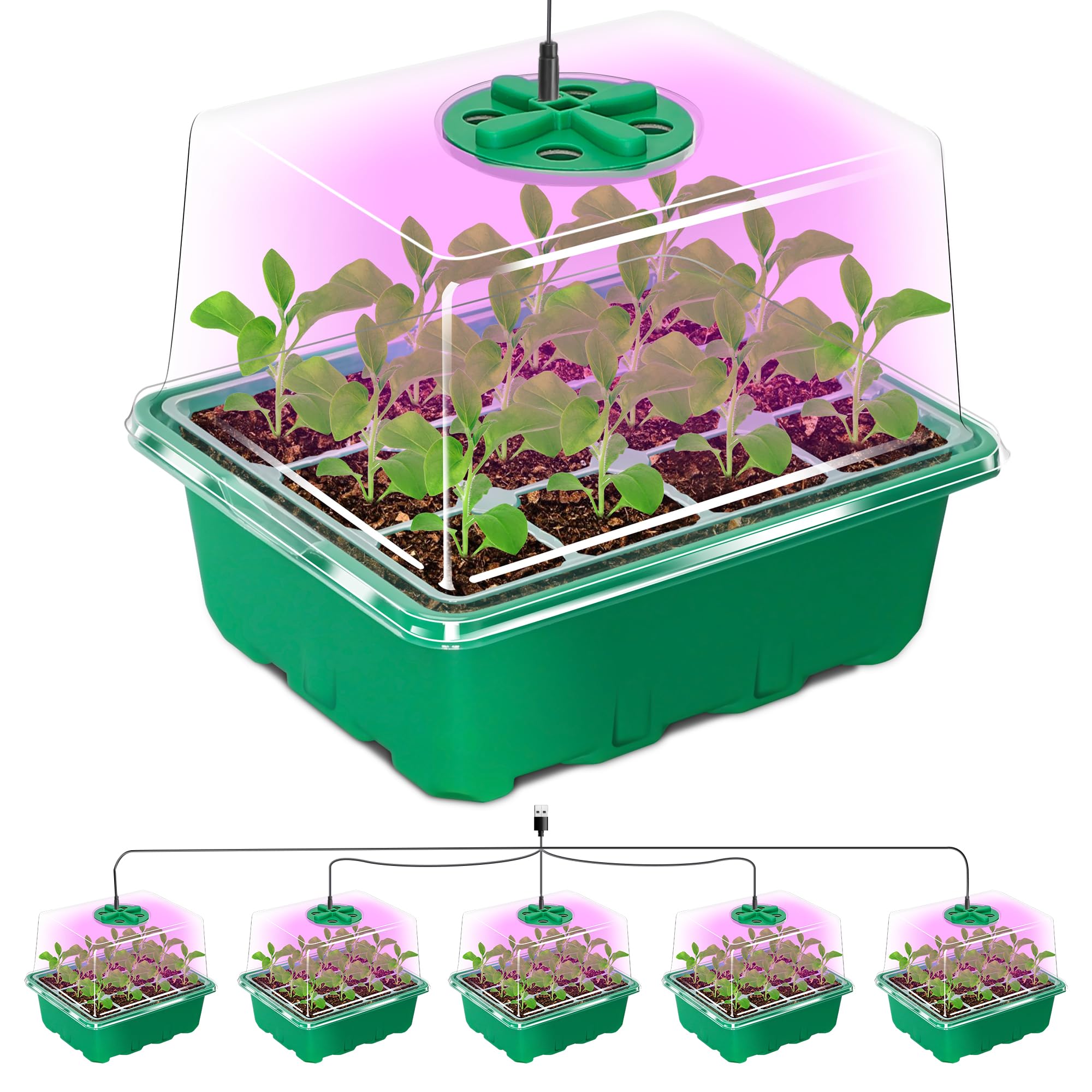 MIXC Seed Trays with Grow Light, 5 Pack Seed Trays with Lids, Propagators for Plants with Adjustable Lids and Clear Cell Tray, Propagator with 8 Full Spectrum Led Lamp Beads, For Indoor Plants, Green