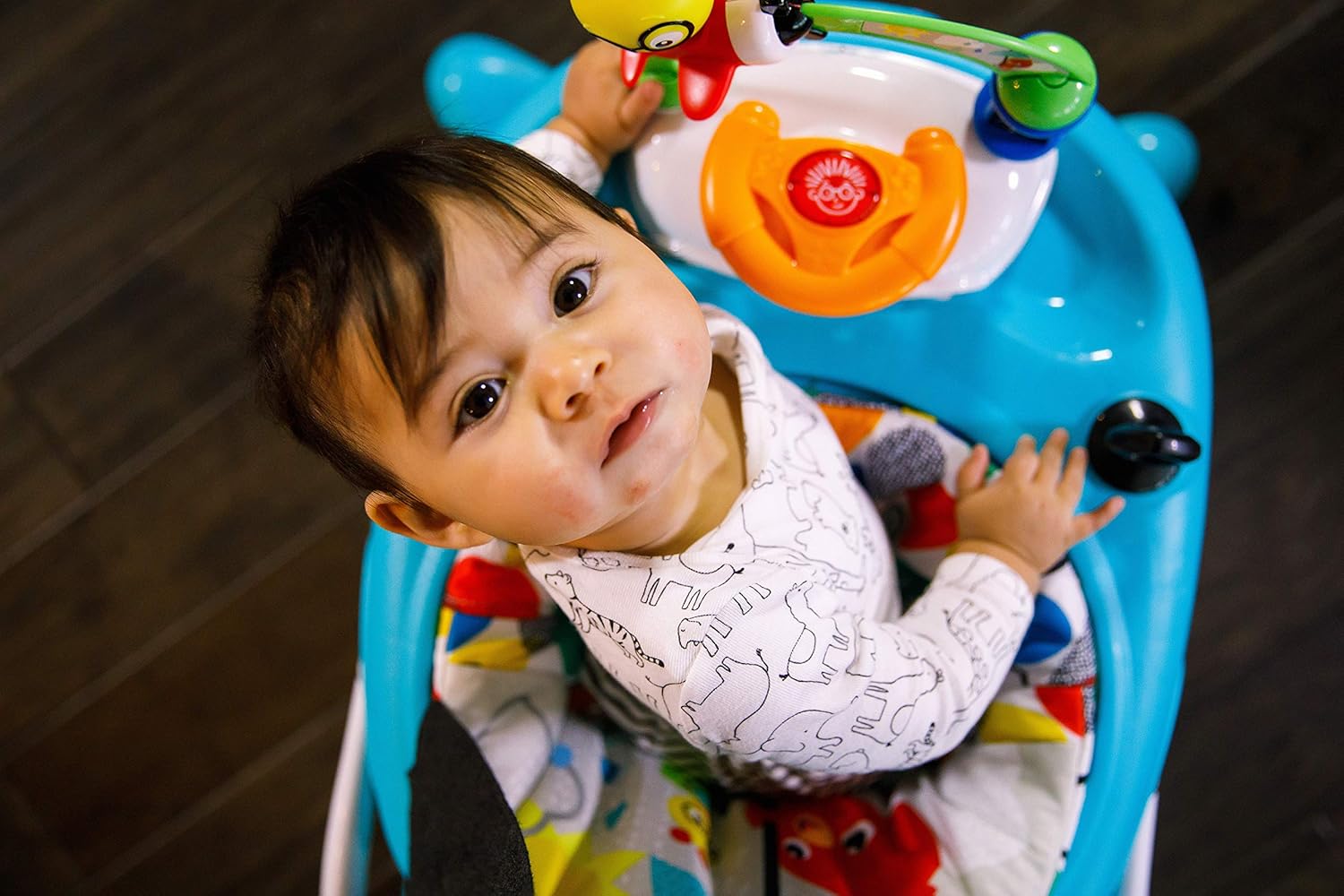 baby einstein sky explorers walker age