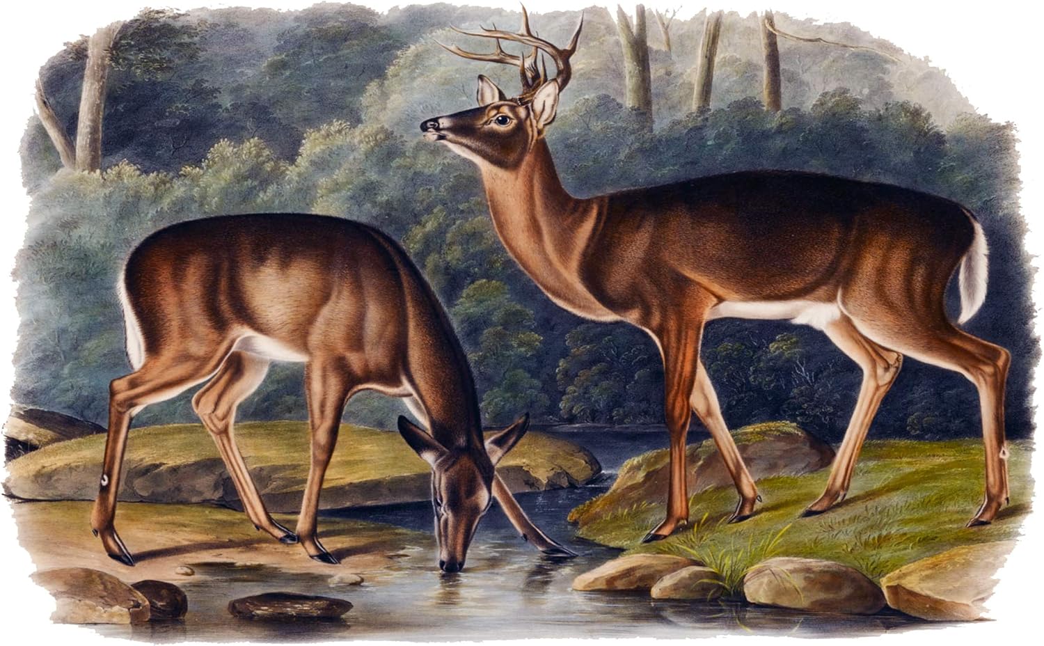 Virginian Deer J. Audubon Forest Tile Mural Kitchen Backsplash Marble Ceramic