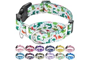 Fidohug Martingale Dog Collars with Buckle No Pull Training Dog Collar for Medium Dogs (Green Dinosaur, Medium)