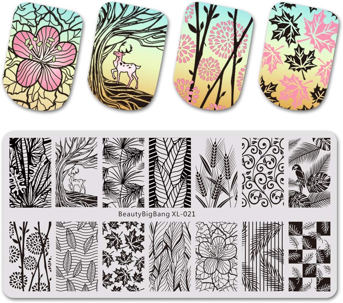 Beautybigbang Nail Stamping Plate Image Templates Floral Flower Leaves Rose Feather Nail Art XL-021