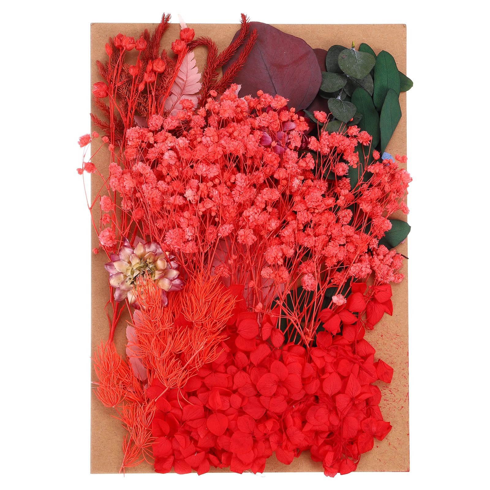 PATIKIL Pressed Flowers for Craft, Bulk Dried Flowers Natural Pressed Flowers Leaves for Resin Soap Candle Scrapbooking DIY Gift Papermaking, Red Series