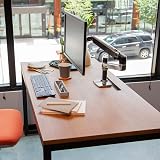 Ergotron LX Premium Monitor Arm Single Monitor Desk Mount 34in 75x75 100x100 view 2