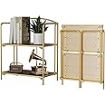 Crofy No Assembly Folding Bookshelf for Living Room, 2 Tier Gold Collapsible Book Shelf for Home Office, Portable Bookcase Storage Organizer