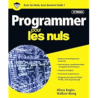 Programmer pour les Nuls grand format, 3e édition (French Edition) book cover