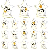 Treela 18 Pcs Employee Appreciation Awards Gifts Bulk Small Acrylic Trophies Mini Thank You Plaque Gifts for Recognition Adults Students Classroom Office Graduation Decorations(Star,Gold)