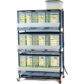 Hatching Time Traditional Chicken Breeding Cage, 3 Section 3 Layer, 15 Inch | Holds 9-18 bantam chickens with roll-out egg trays, 6.5 lb feeders, 5-gallon tank, 9 drinkers and PP construction.
