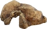 Exo Terra Reptile Cave Large Brown view 5