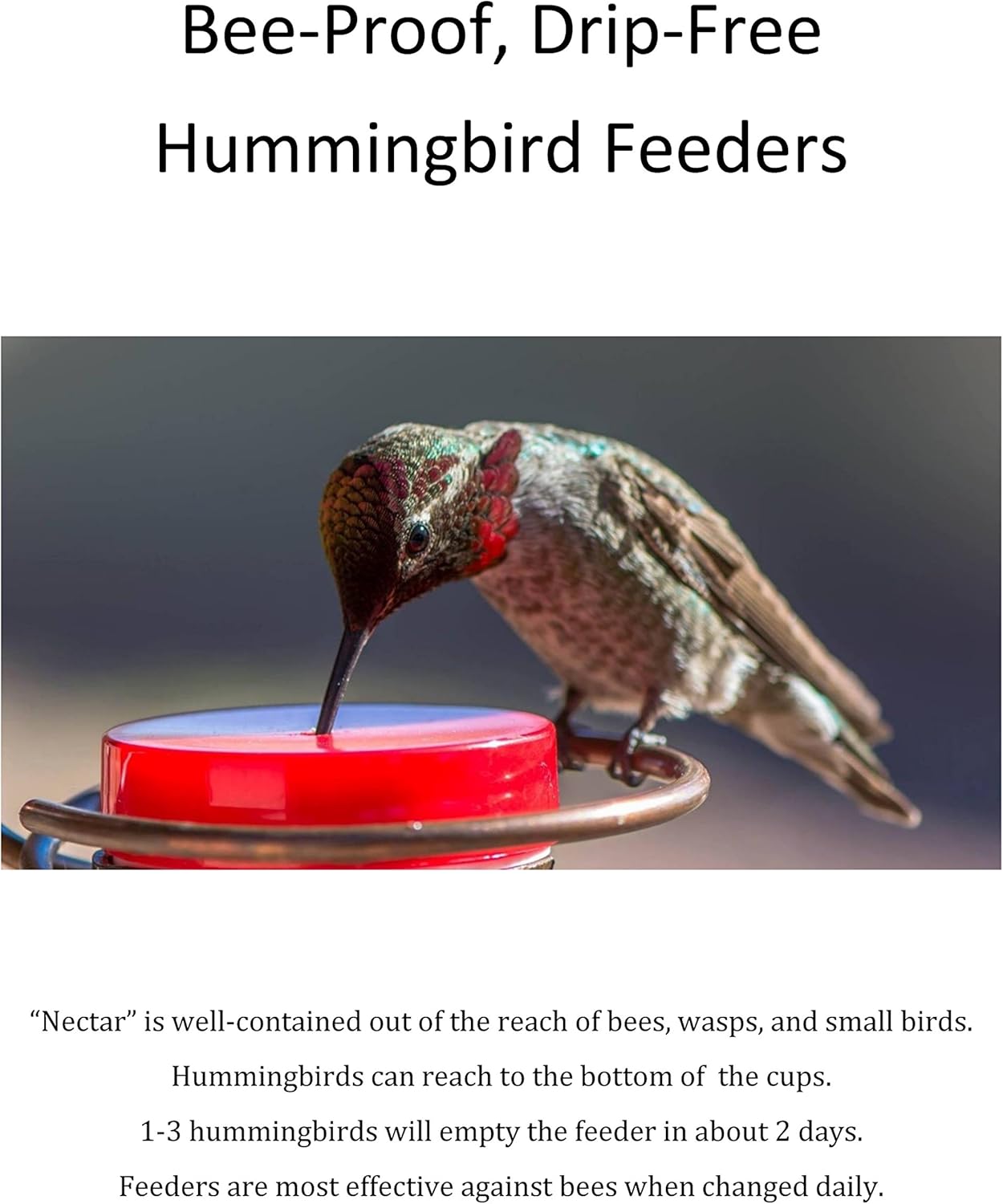 Amazon Com Copper Hummingbird Feeder Original Handmade Design