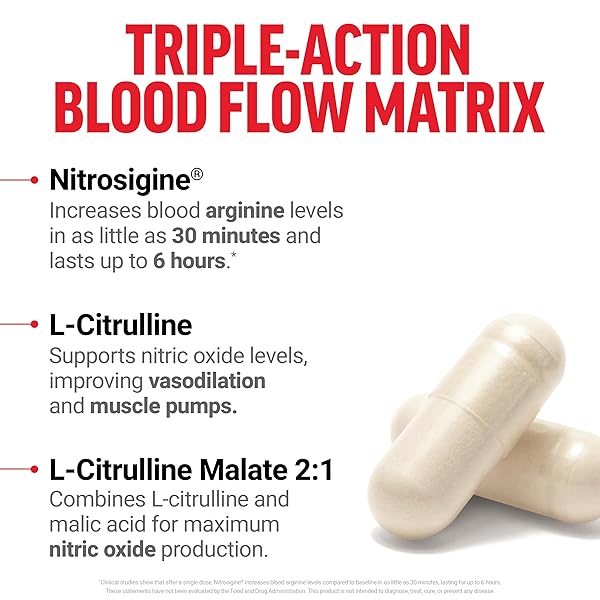 FORCE FACTOR NITRIC OXIDE BOOSTER, FAST-ACTING FORMULA WITH L-ARGININE, BOOSTS NITRIC OXIDE LEVELS, MAXIMIZE MUSCLE PUMPS, ENHANCE ENDURANCE, IMPROVE CIRCULATION, 120 CAPSULES