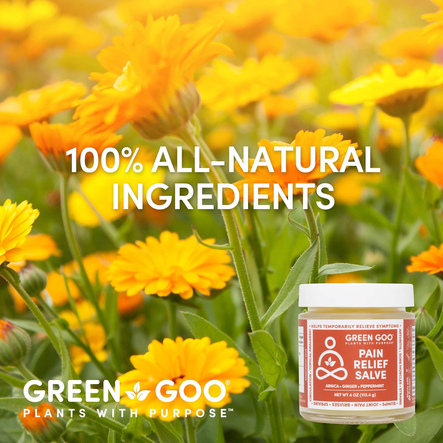 Green Goo Natural Pain Relief Cream, Neck, Muscle, Arthritis and Joint Pain Relief Arnica Cream (4 Ounce Jar): Health & Personal Care