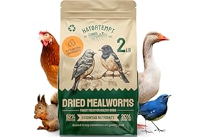 Hatortempt Dried Mealworms for Wild Birds 2 lbs – Non GMO High Protein Mealworms for Chickens and Laying Hens - Turtle Food - Chicken Feed