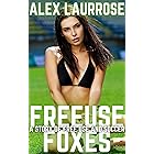 Freeuse Foxes: A Story of Free Use and Soccer (Free Use Sports)