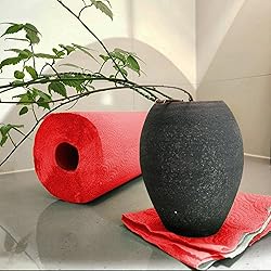 Renova Red Paper Towel Pack - 1 Roll - 120 Sheets