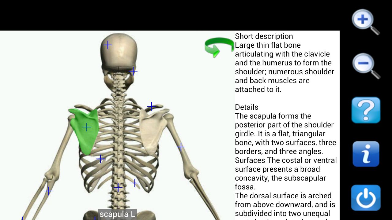 visual-anatomy-free-amazon-es-apps-y-juegos
