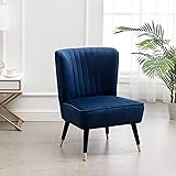Roundhill Furniture Elon Velvet Upholstered Accent