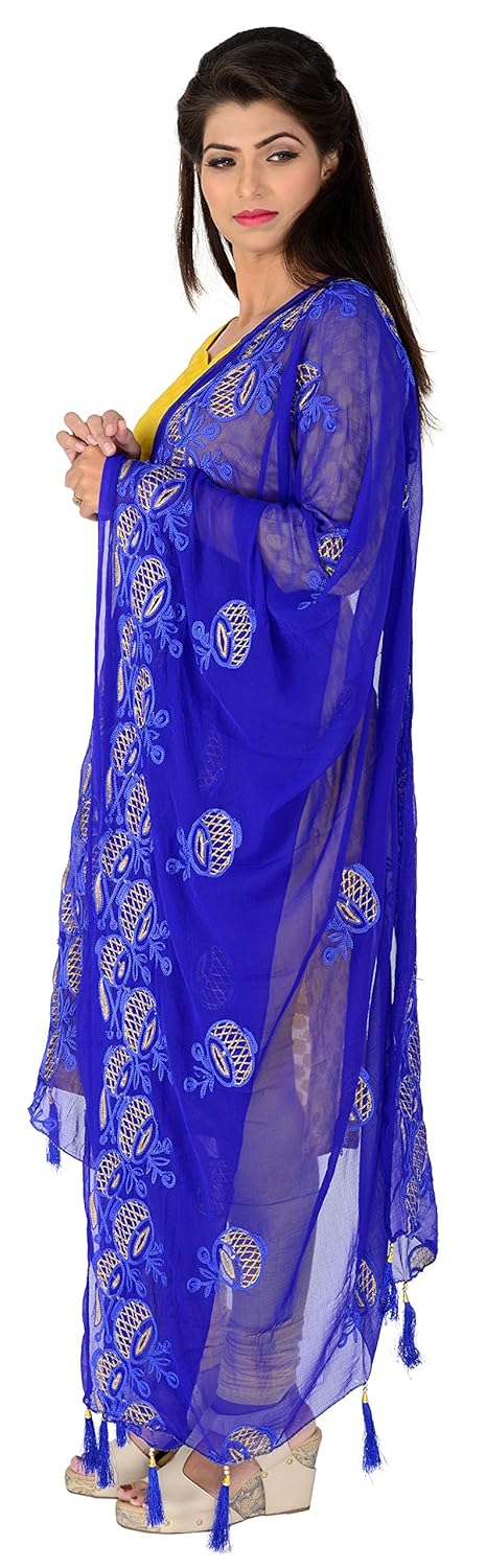 lionize women's pure chiffon embroidered dupatta with tussels at pallu