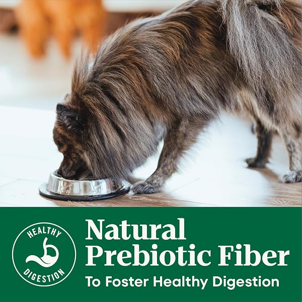 NUTRO NATURAL CHOICE SMALL BREED SENIOR DOG FOOD DRY CHICKEN & BROWN RICE RECIPE, DRY DOG FOOD SMALL BREED, 5 LB. BAG