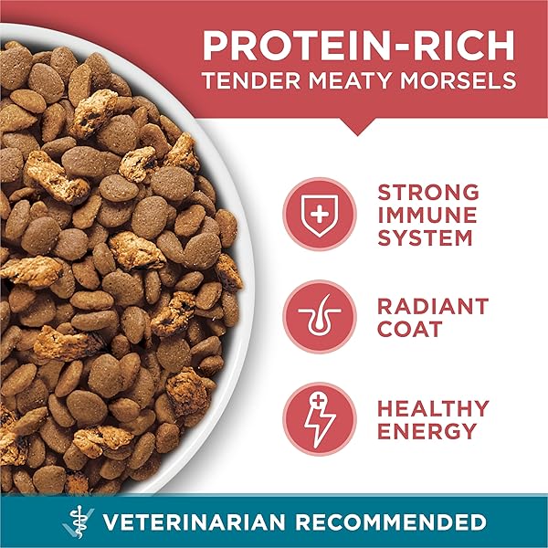 PURINA ONE NATURAL DRY CAT FOOD, TENDER SELECTS BLEND WITH REAL SALMON – 3.5 LB. BAG