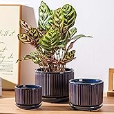 Navy Blue Ceramic Plant Pots Set of 3, 4.3+5.5+6.7 Inch Indoor Flower Pots with Drainage Hole & Saucer & Hole Mesh Pads, Striped Decorative Planter Set for Indoor Plants, Gardening Pots & Accessories