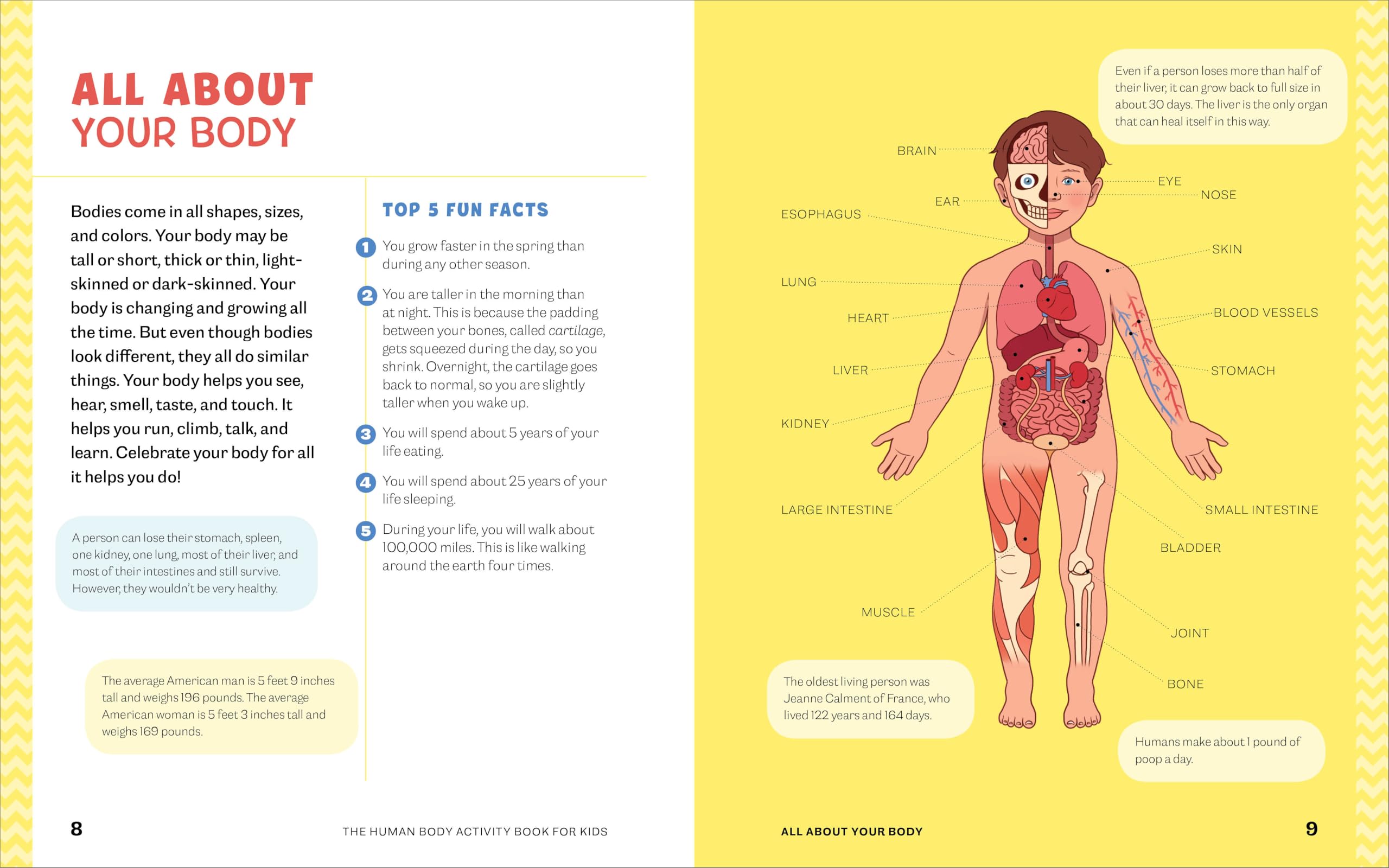 Human Body Activity Book for Kids: Hands-On Fun for Grades K-3 Human Body Activity Book for Kids: Hands-On Fun for Grades K-3 Paperback Spiral-bound