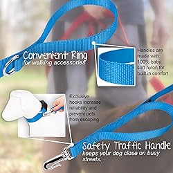 Country Brook Petz - Deluxe Nylon Dog Leash with