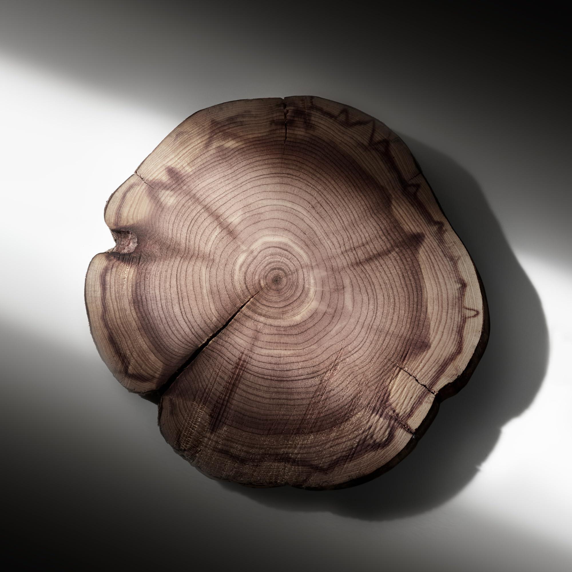 RALPH LAUREN FRAGRANCES - Ralph's Club - Eau de Parfum - Men's Cologne - Woody & Fresh - With Lavandin, Sage, Vetiver, and Cedarwood - Medium Intensity