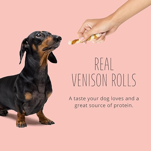 BETTER BELLY PROTEINS WITH REAL VENISON SMALL ROLLS 6 COUNT, DIGESTIBLE RAWHIDE FOR DOGS, 4.2 OZ