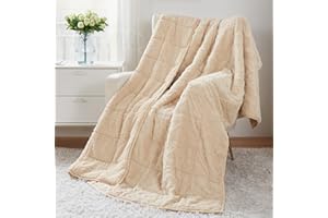 DREWIN Weighted Blanket Full Size, Adult Weighted Blankets 15lbs with Doubled-Sized Shaggy Sherpa, Soft Plush Jacquard Bed Blanket for Sleep Natural and Relaxing, Ceramic Beads, Beige, 48 * 72 15lbs
