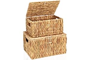 FairyHaus Wicker Storage Baskets with Lids, Set of 2, Natural Water Hyacinth, Rectangular, Large 13"x10"x7" & Small 11.2"x8.3"x5.7"