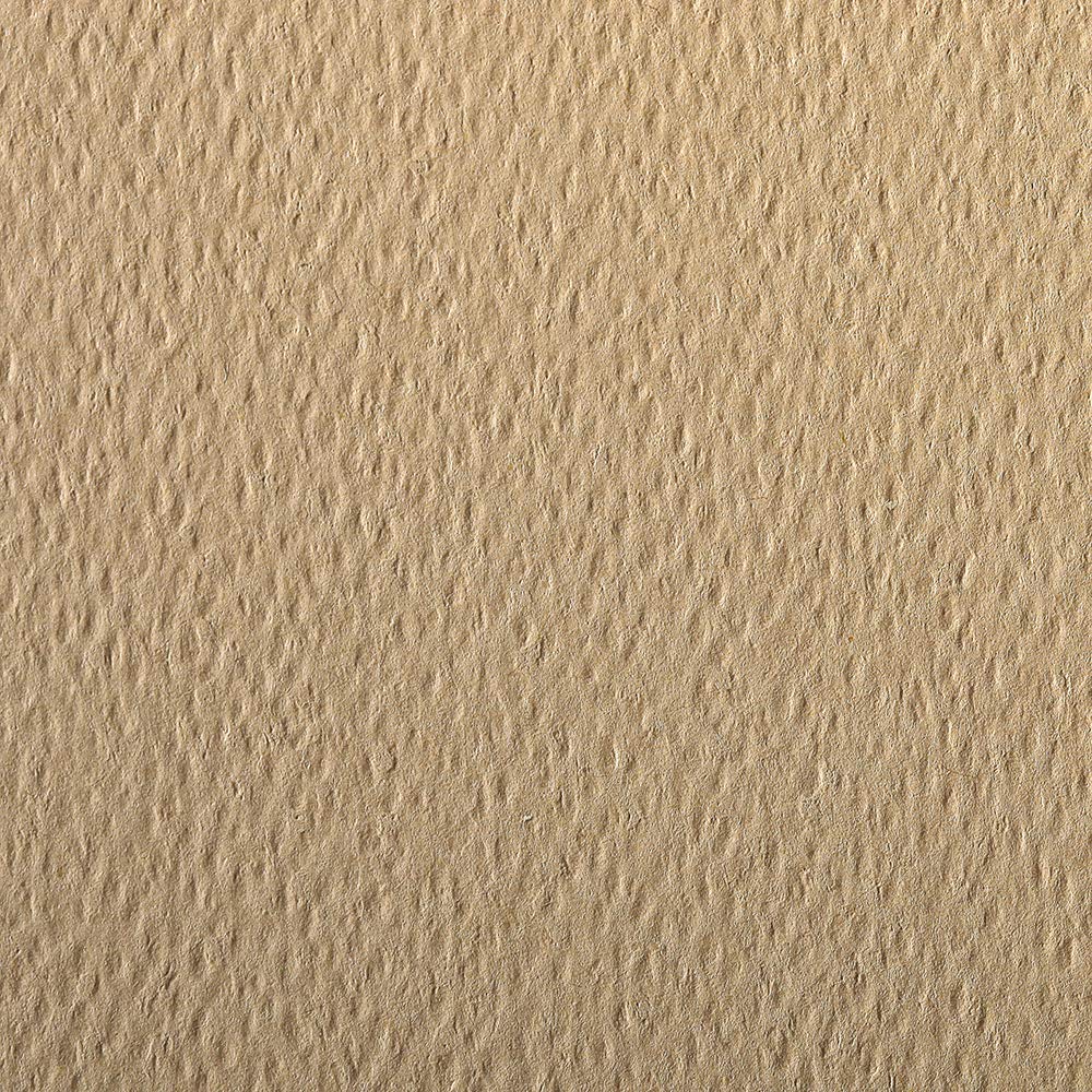 Clairefontaine - Ref 93866C - Etival Coloured Grained Drawing Paper (Pack of 25 Sheets) - A4 (29.7 x 21cm) - 160gsm Cellulose Art Paper - Camel - Acid Free, pH Neutral