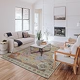 Linon Harlow Benson Brown and Beige Woven Chenille 8' X 10' Modern Oushak Area Rug