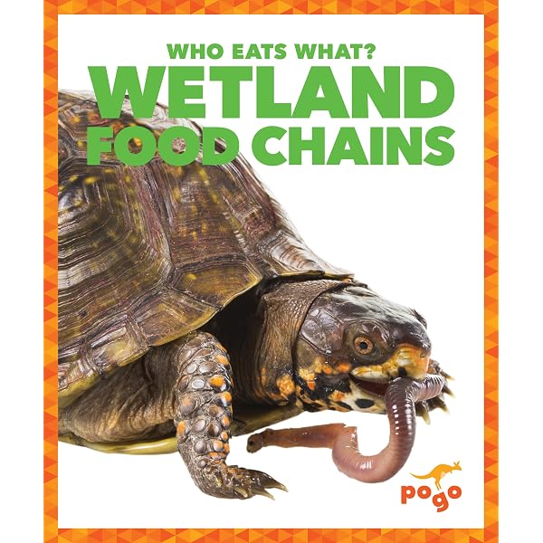 Arctic Food Chains (Who Eats What?): Rebecca Pettiford