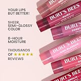 Burt's Bees 100% Natural Tinted Lip Balm view 3
