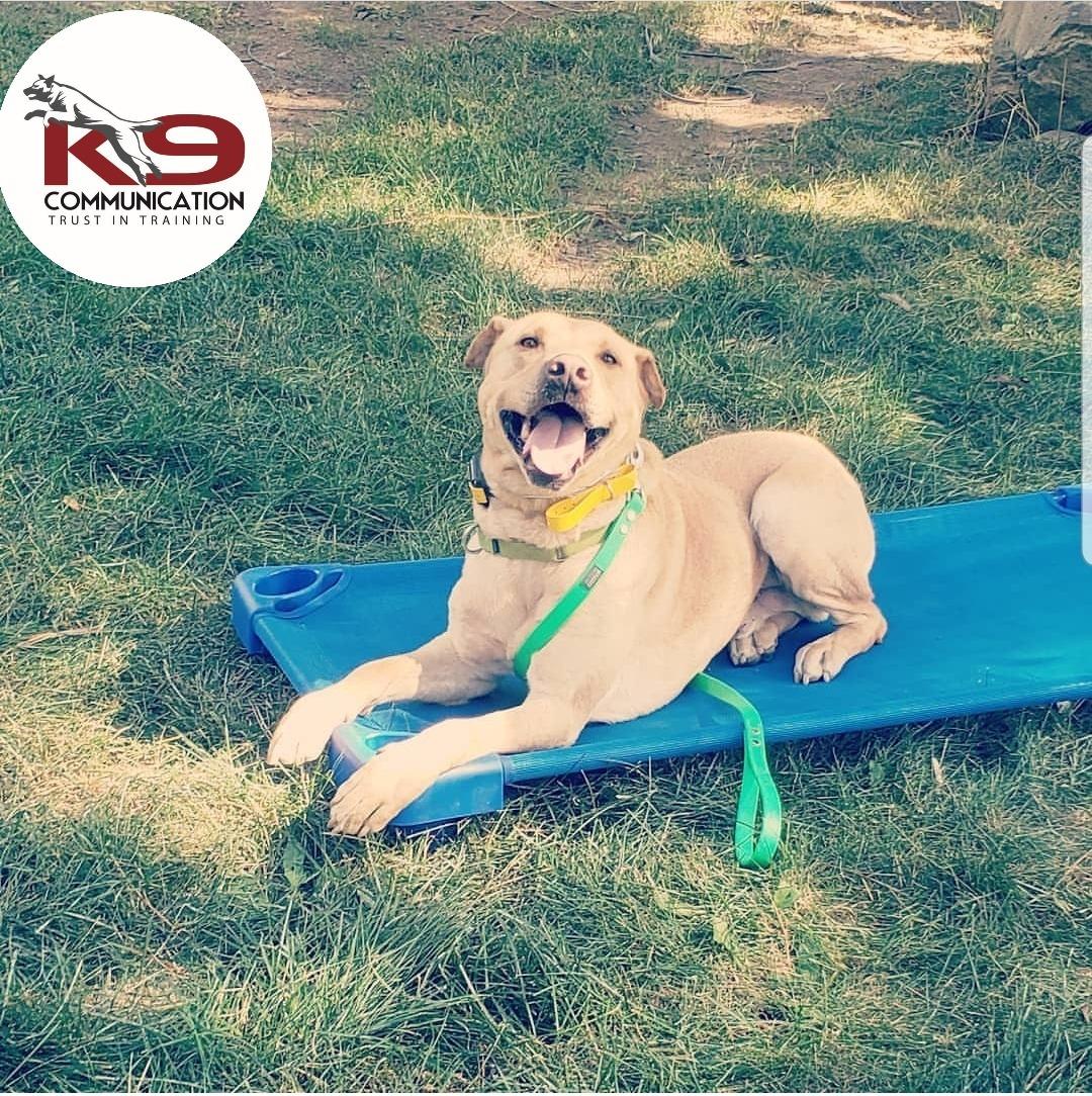 33/mo Finance HeavyDuty Stackable Standard Size 52"L Daycare Cots