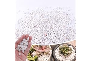 CJGQ 2.4lb 1/4" Small White Rocks for Plants,Potting,Succulents Aquarium Fish Tank Garden Vases Decorative Pebbles Gravel Rocks Stones