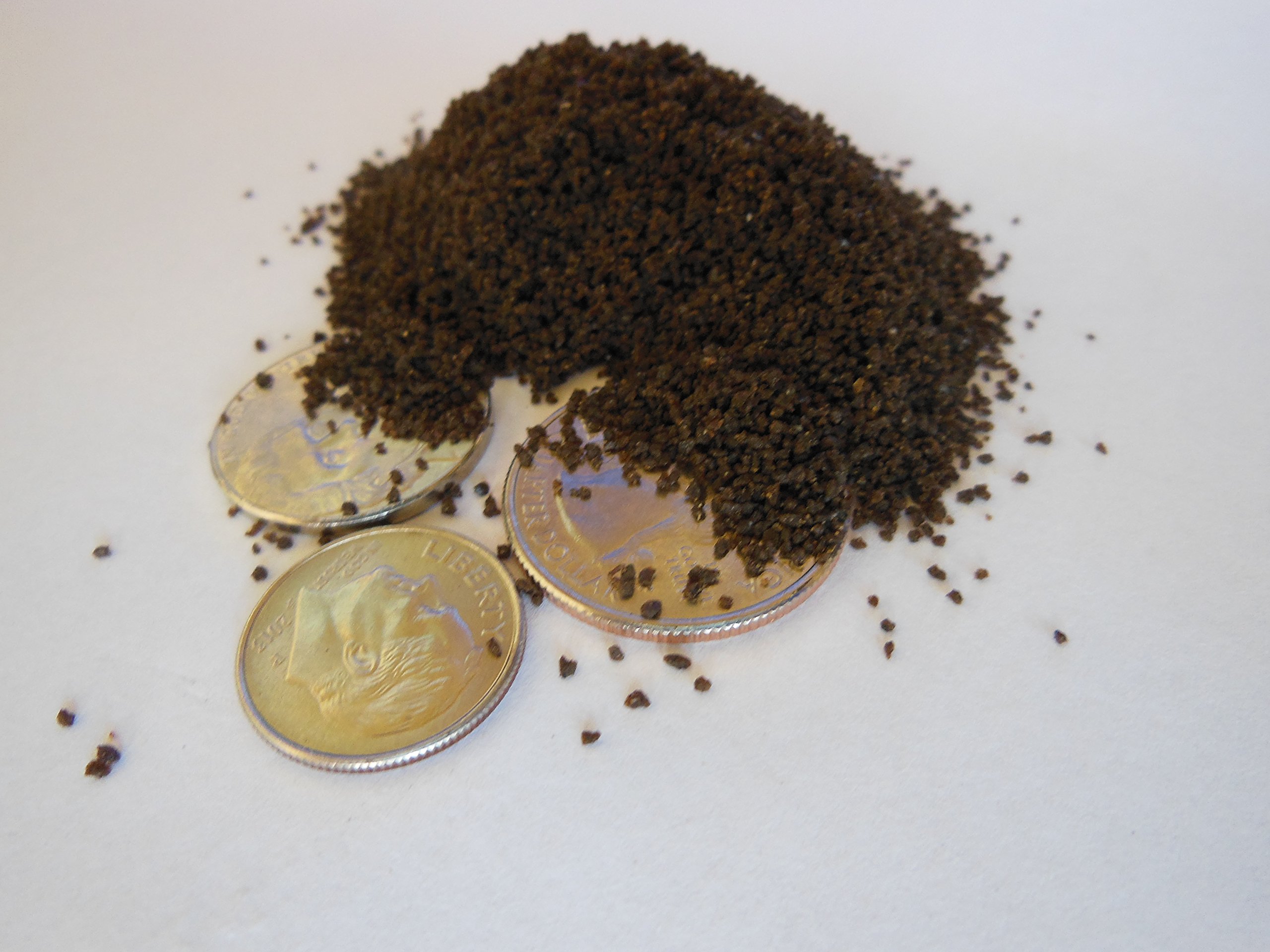 Purina Aquamax Fry Starter 100 for All Fish Types During Fry Stage 1-pound Bag