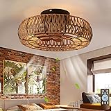 Letmarey 20" Caged Ceiling Fans with Lights and