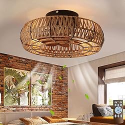 Letmarey 20" Caged Ceiling Fans with Lights and