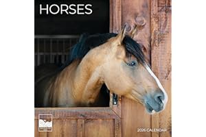 2026 Horse Planner Wall Calendar | 12" x 24" Open | Animal Photography Thick & Sturdy Paper for Organizing & Planning | Office Kitchen Decor or Gift | Pacific Waters Press (Horses)