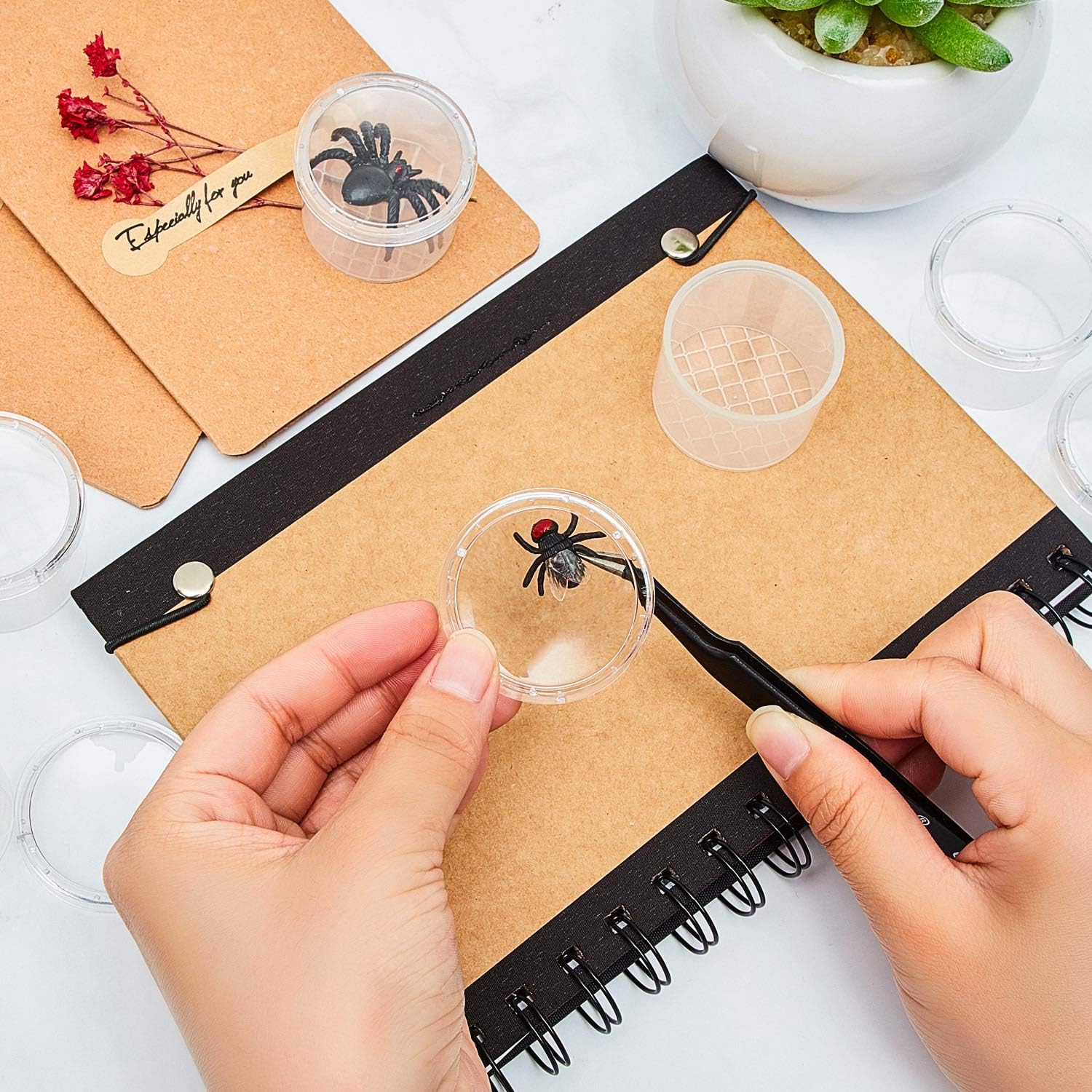 30 Pieces Bug Catcher Viewer Transparent Critter Container Small Cage Magnifying Box Container for Boys and Girls Science Nature Exploration Toys: Toys & Games
