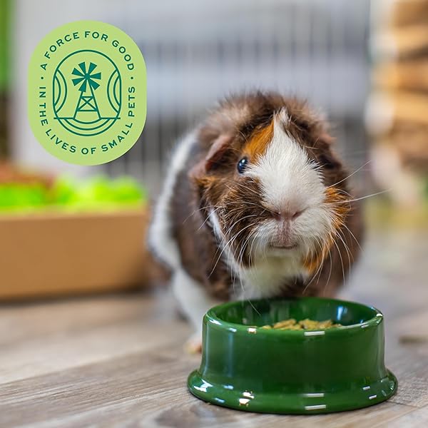OXBOW ESSENTIALS GUINEA PIG FOOD, ADULT GUINEA PIG, MADE WITH OXBOW TIMOTHY HAY, PET FOOD PELLETS WITH VITAMIN C, SMALL ANIMAL PET PRODUCTS, MADE IN USA, HIGH FIBER, 10 LB. BAG