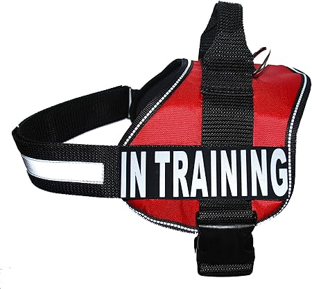 in training dog vest