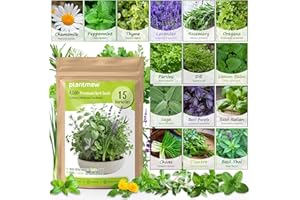 PLANTMEW Herb Seeds 15-Pack – 4,500+ Non-GMO Heirloom Seeds for Planting – Indoor & Outdoor Herb Garden Kit with Basil, Cilantro, Rosemary, Thyme, Dill, Sage – Medicinal & Culinary Herb Seeds Variety Pack