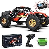 RIAARIO 1:12 RTR Brushless RC Desert Cars for