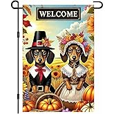 BlissYard Thanksgiving Fall Garden Flag 12x18 Inch Welcome Dachshund Flag Double Sided Outdoor Autumn Yard Banner with Pilgrim Dog Design and Pumpkins for Porch Lawn Patio Seasonal Decor