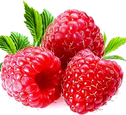 Frambuesa Rojo Perfume cuerpo Spray Mist Triple con aroma ...