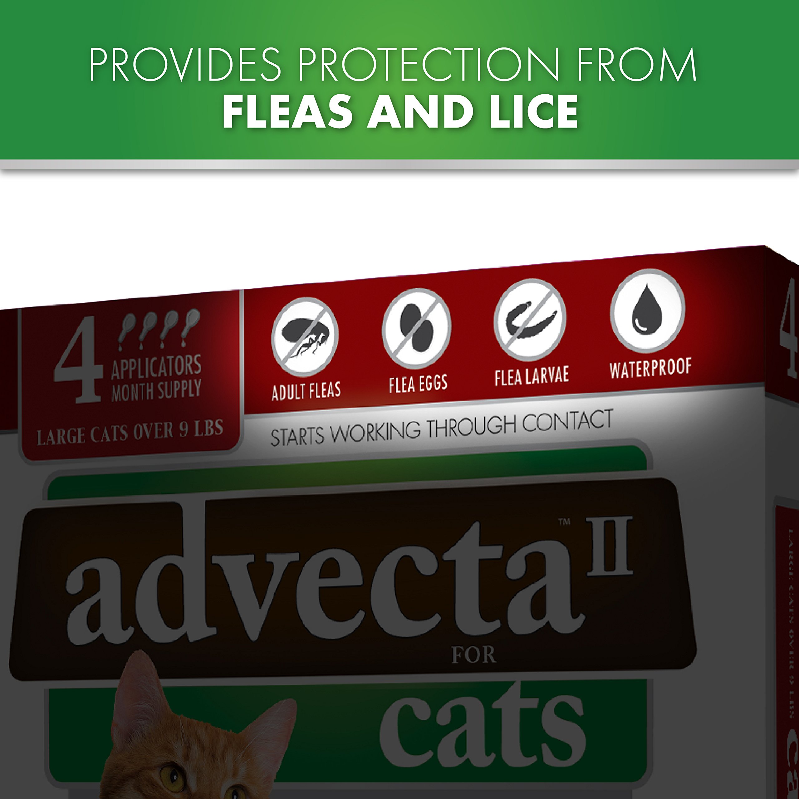 Flea Treatment For Cats Convenient Waterproof Safe Medication Control